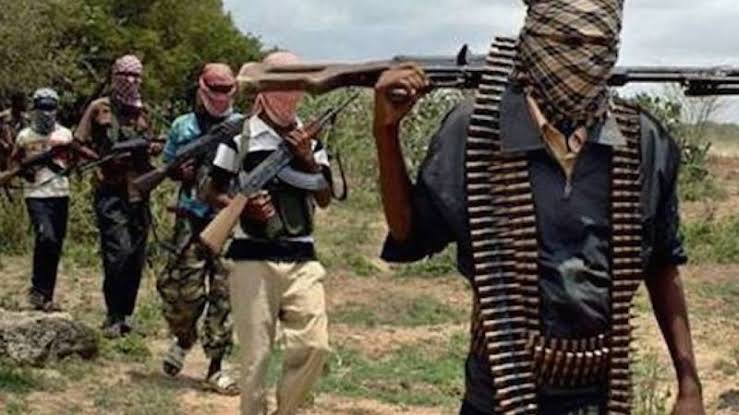 Dozens killed as terrorists attack community in Borno Dozens killed as terrorists attack community in Borno